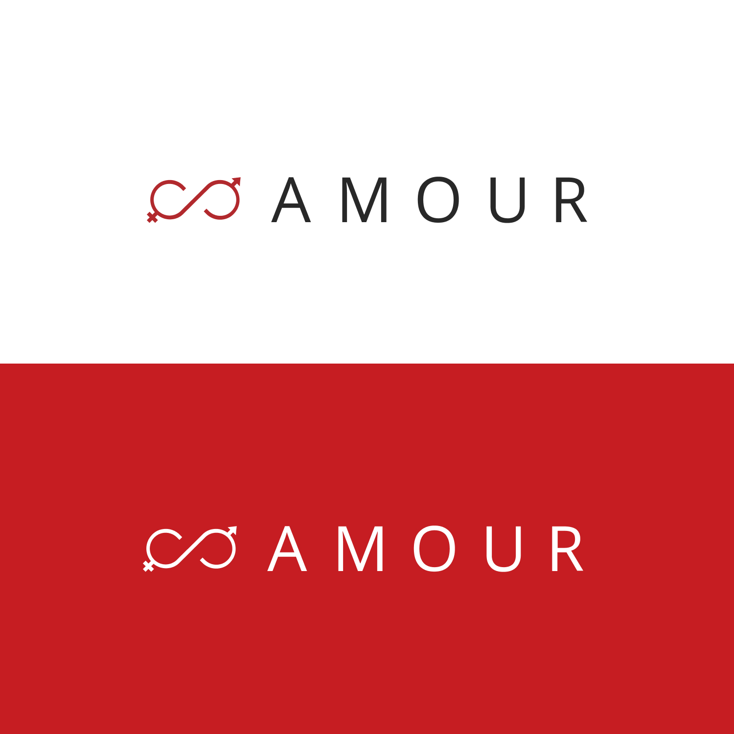 Amour Logo Creation