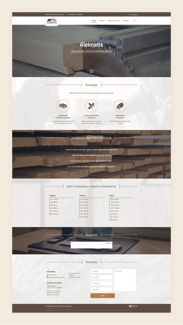 Aleknatis.lt - Representative Website Development